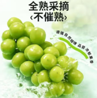 京覓 甘肅晴王覓光葡萄 凈重4斤 單粒8-10g