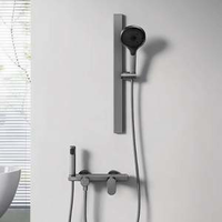 Panasonic 松下 H1 6系硬鋁合金三功能分體式花灑淋浴套裝