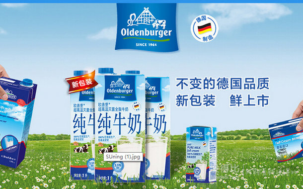 Oldenburger 欧德堡 全脂纯牛奶 200ml*24盒