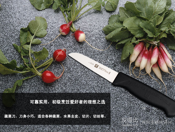 ZWILLING 双立人   ZWILLING Enjoy蔬菜刀 38800-080