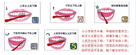 涨姿势！9.20爱牙日！MDB教你怎么呵护你的牙齿！