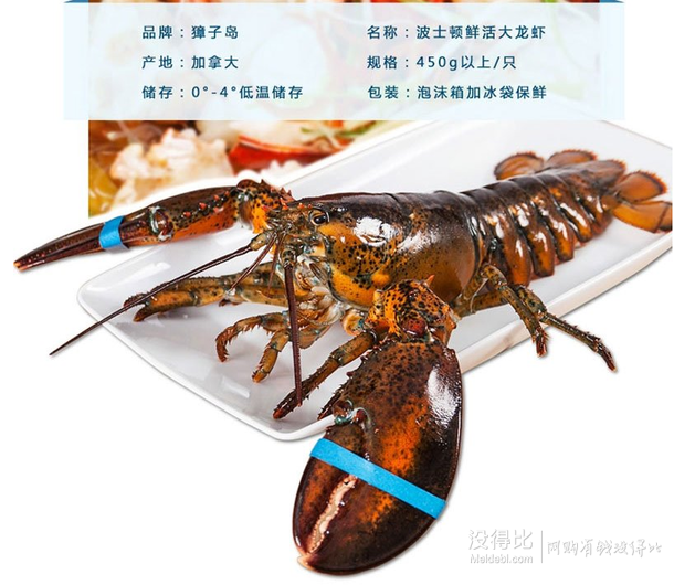 Zhangzi island 獐子岛 加拿大波士顿龙虾450g*2 249元包邮