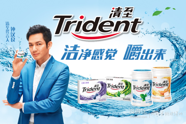 Trident 清至 无糖口香糖 清凉薄荷 27克约20粒     0.99元（限购10件）