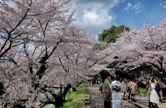 限3月10日：上海-东京5天自由行 往返含税机票 赠送优惠券