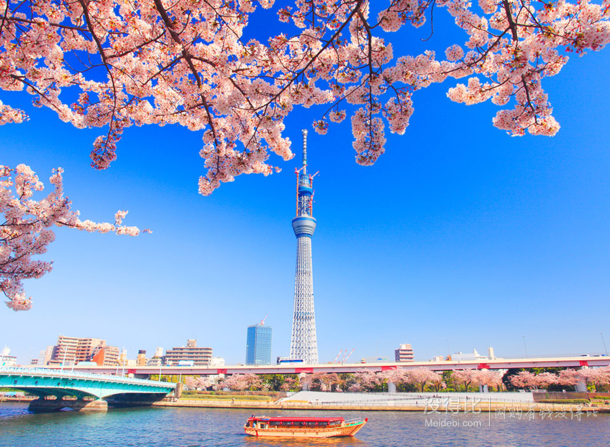 6月4日出发：上海—直飞东京 5天4晚东航含税机票