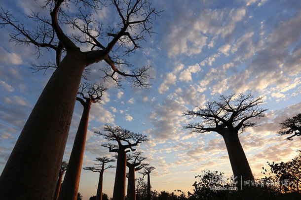 Canon 佳能 EOS 6D EF 24-105mm f/4L 单反套机 11799元包邮