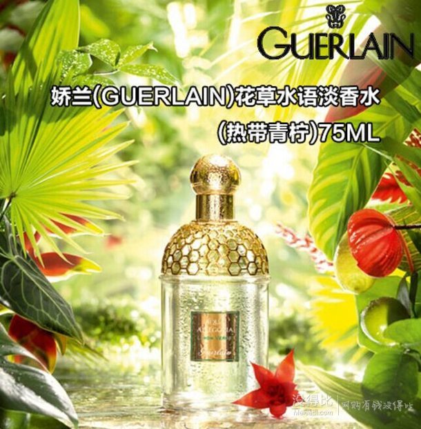 guerlain 娇兰 aqua allegoria 花草水语系列 limon verde 中性淡香水