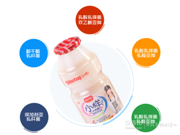 我是小样，我就这样！小样 小乳酸 100ml*16瓶折16元（32， 买一赠一）