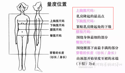涨姿势 选bra是大事儿 怎样买到合适的内衣 没得比