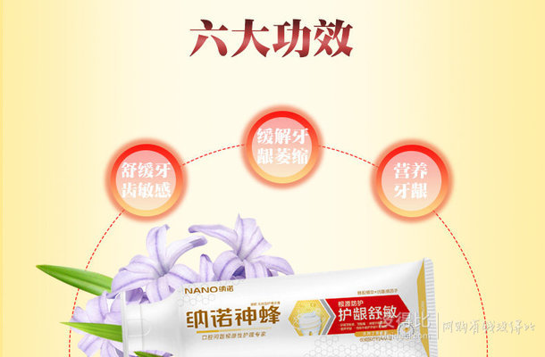 NANO/纳诺  固齿牙龈护理牙膏120g*2送牙刷