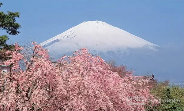 11月20/27日出发：杭州直飞日本静冈5天往返含税机票 888元