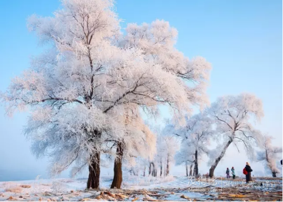 又到一年赏雪季，好想到那大雪纷飞的雪乡去~