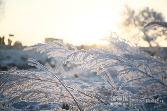 又到一年赏雪季，好想到那大雪纷飞的雪乡去~