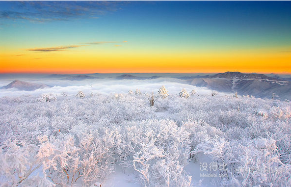 又到一年赏雪季，好想到那大雪纷飞的雪乡去~