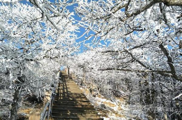 又到一年赏雪季，好想到那大雪纷飞的雪乡去~