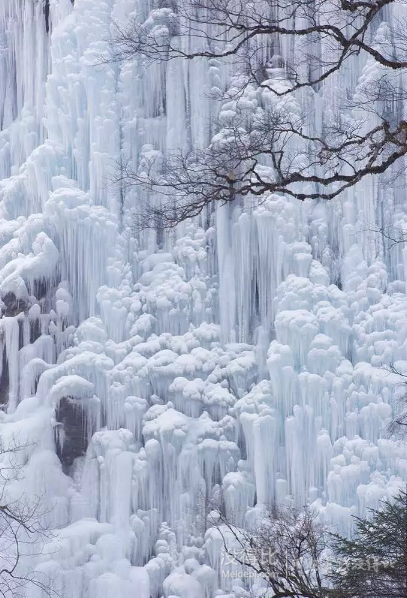 又到一年赏雪季，好想到那大雪纷飞的雪乡去~