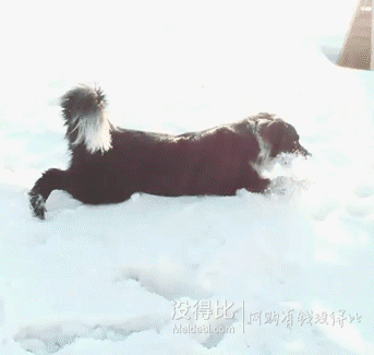 雾凇岛,双峰林场,喀纳斯,虎牙冰瀑都超级超级想去啊啊啊啊啊啊啊!