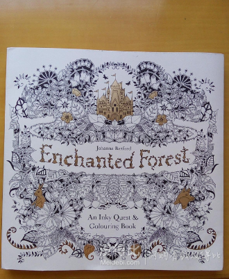 《Enchanted Forest 魔法森林：秘密花园Ⅱ》（英文原版）