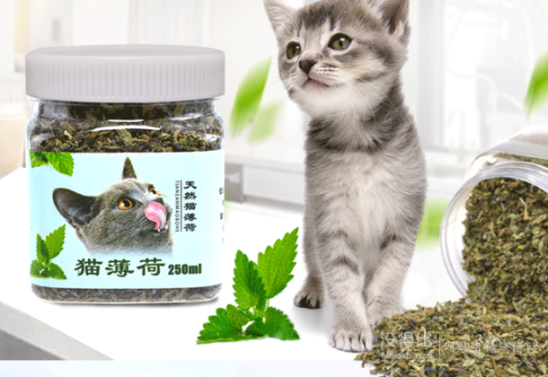 petfun寵趣貓薄荷250ml