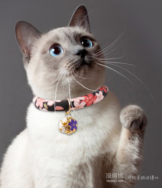 碧净 猫咪项圈 带铃铛 xs-l码可选 6.5元包邮(需用券)