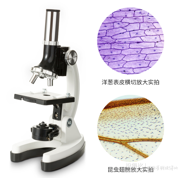 UKON 育空 1200倍 高倍儿童显微镜 赠标本+1