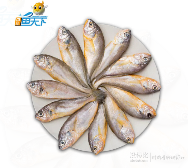 限地区中洋鱼天下舟山小黄鱼500g812条