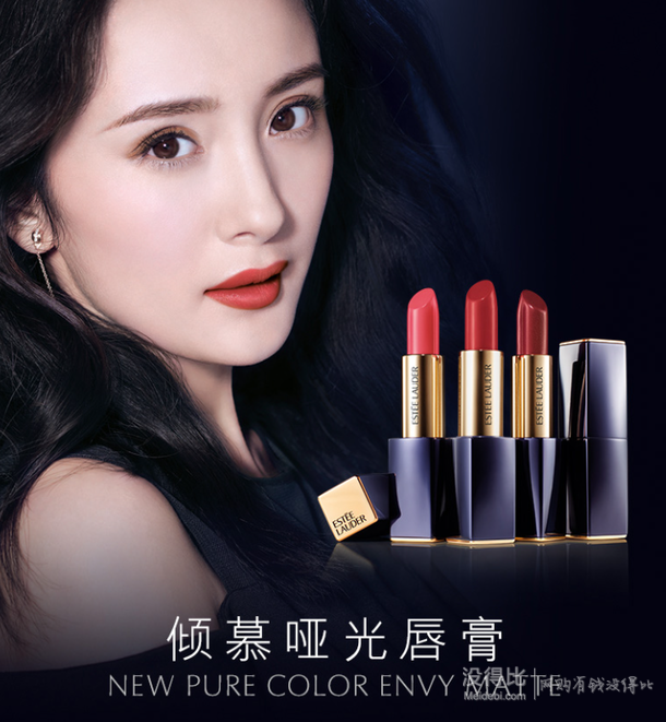 estee lauder 雅诗兰黛 口红倾慕唇膏 #333干枫叶红 3.5g