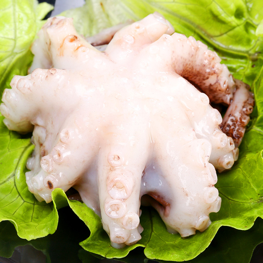 八爪鱼海鲜冷冻足1000g