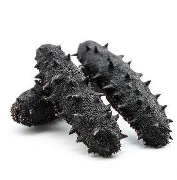 速发海参 1头 约2.3克