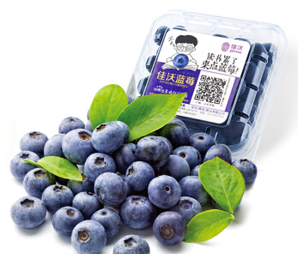 限地区：Joyvio 佳沃 国产蓝莓 蓝标 1盒装 125g/盒