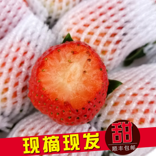 长丰草莓红颜草莓礼盒1150g现摘现发