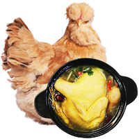 【百年栗园】散养土鸡买一送一共4斤