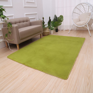 DQE/迪其尔 珊瑚绒地毯   40厘米×60厘米（同色2条装）10.9包邮