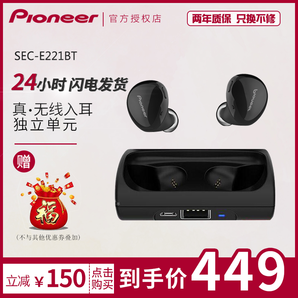 Pioneer/先锋 SEC-E221BT 真无线蓝牙耳机