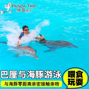 当地玩乐： 巴厘岛罗威纳看海豚+与海豚互动套餐 270元起/人