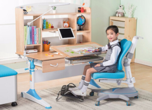 心家宜 M173-M216+M672 可升降儿童学习桌椅组合套装