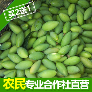 2018新鲜橄榄青果 中国优质青橄榄果基地 现摘现发孕妇水果买2送1