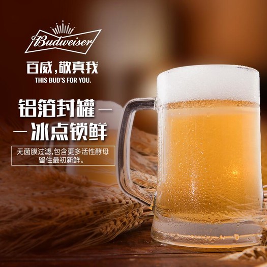 百威啤酒纯生330ml24罐装129元包邮