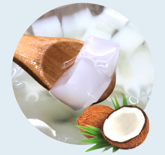 大椰果果粒饮料238g6罐整箱