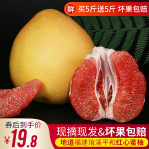 果督 福建琯溪 红心柚子 10斤