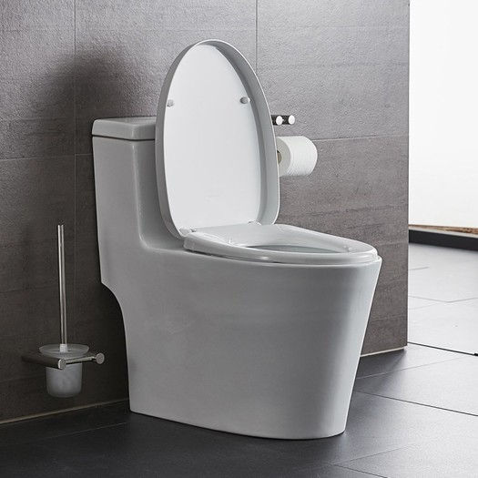 faenza 法恩莎 fb16127 连体座便马桶 999元包邮(双重优惠)