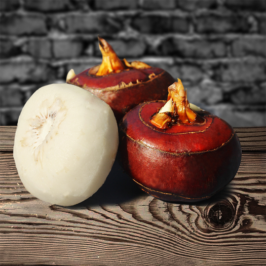 新鲜北乡红马蹄2斤4a中号适用火锅煲汤糖水佳品荸荠爽脆水果乐昌