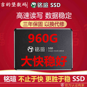 6毛/1GB 超大容量 MAXSUN 铭瑄 终结者 MS 960GB X5 固态硬盘 589元包邮（需用券）