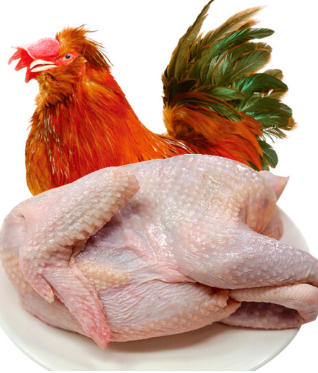 百年栗园北京油鸡公鸡1000g