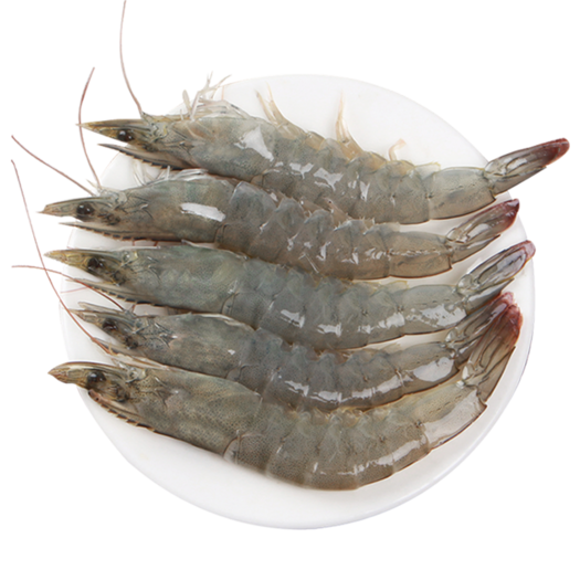 展康青岛大对虾青虾1650g