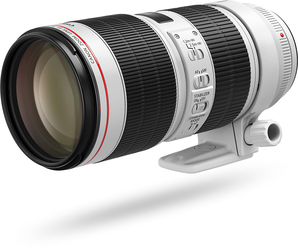 Canon 佳能 EF 70-200mm F2.8L IS III USM 远摄变焦镜头 11779元包邮（需用券）