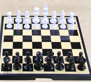 友明 磁性国际象棋 20*20cm 送入门指导 5.1元包邮（需用券）