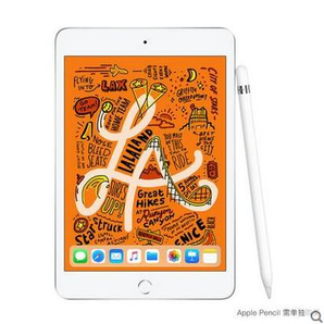 Apple 苹果 新iPad mini 7.9英寸平板电脑 WLAN版 256GB 3858元包邮（需用券）