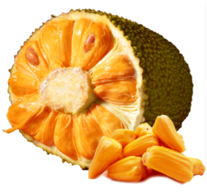 六井 海南菠萝蜜 10斤 48.8元包邮（下单立减）