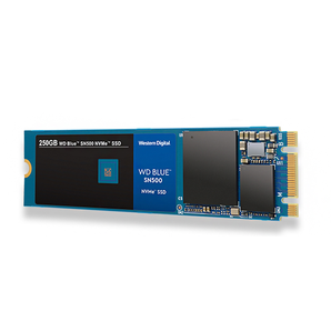 Western Digital 西部数据 Blue系列 SN500 NVMe M.2 SSD固态硬盘 250GB 299元包邮